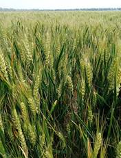 c9e4aedd22297d4b35fb3ce7dc8f9ba